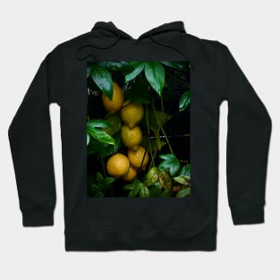 Italian restaurant lemon art Hoodie